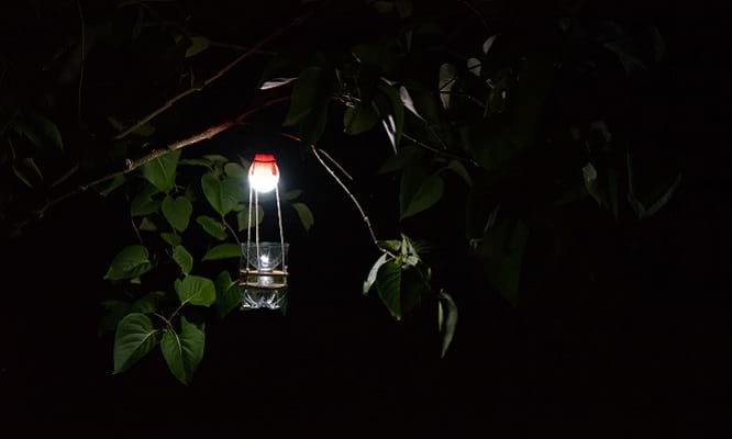 Zombee fly kit at night